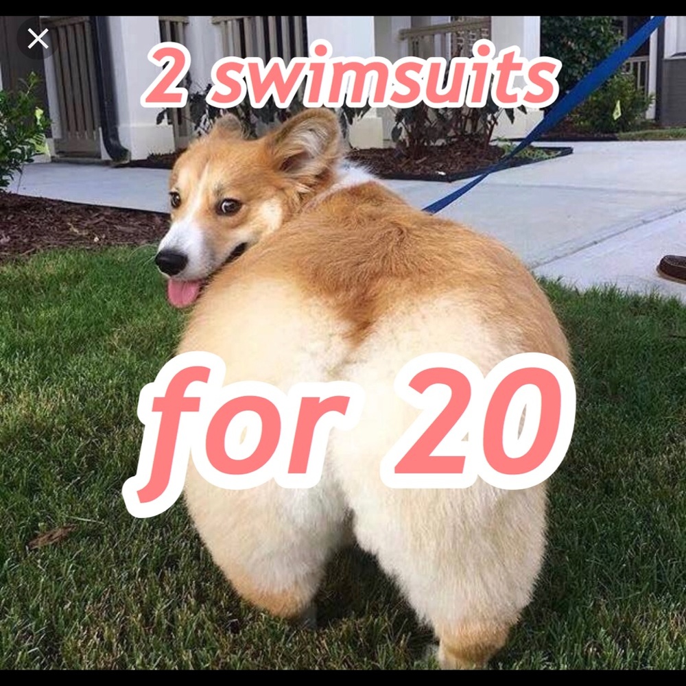 2 swimsuits for $20 deal